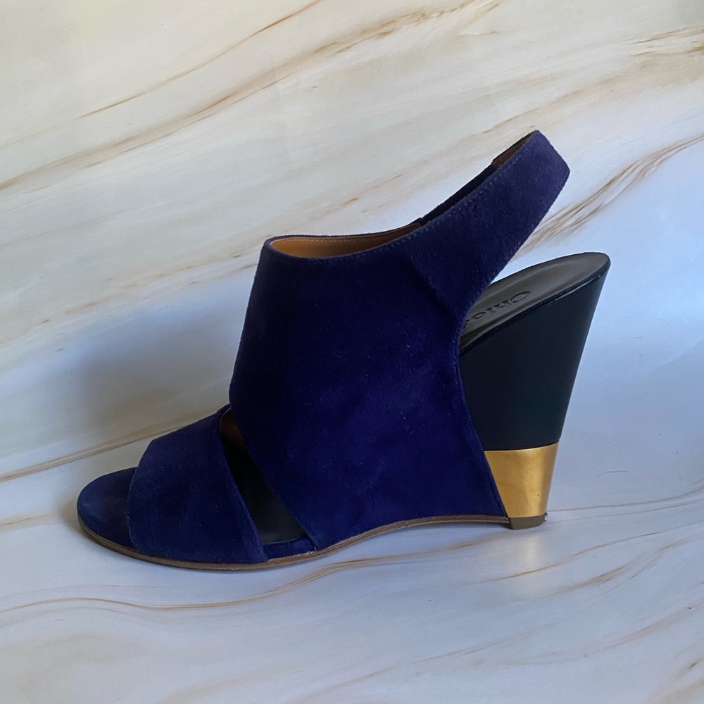 Chloe Navy Blue and Gold Wedge Sandals